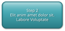 Step 2 Elit anim amet dolor sit.  Labore Voluptate