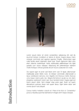 Free e-books  sustainable fashion template