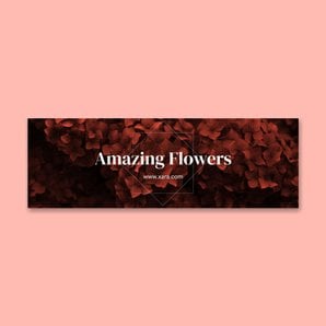 Email header