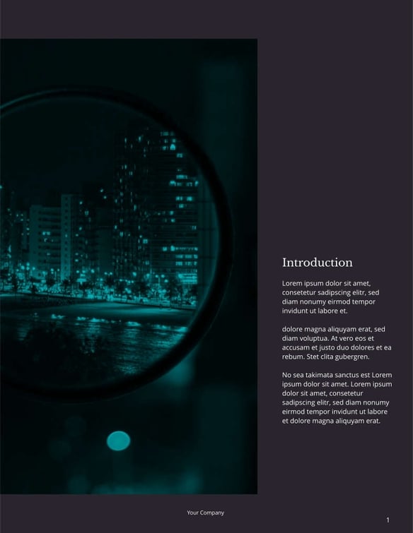 Free report – business analysis template