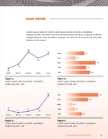 Free report – digital consulting template