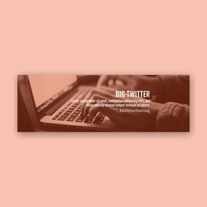 Free twitter template