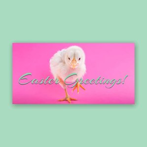 Free real estate – twitter template
