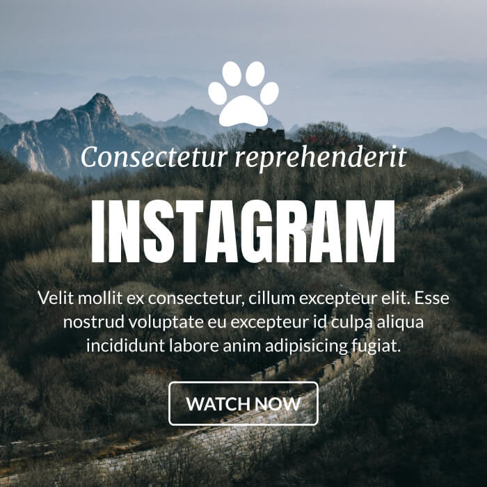 Instagram Template