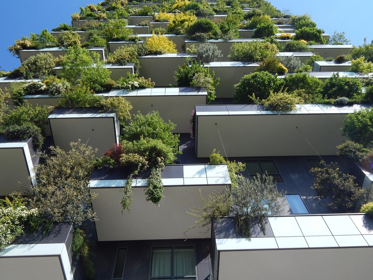 Eco-Friendly Properties Top Real Estate Niches