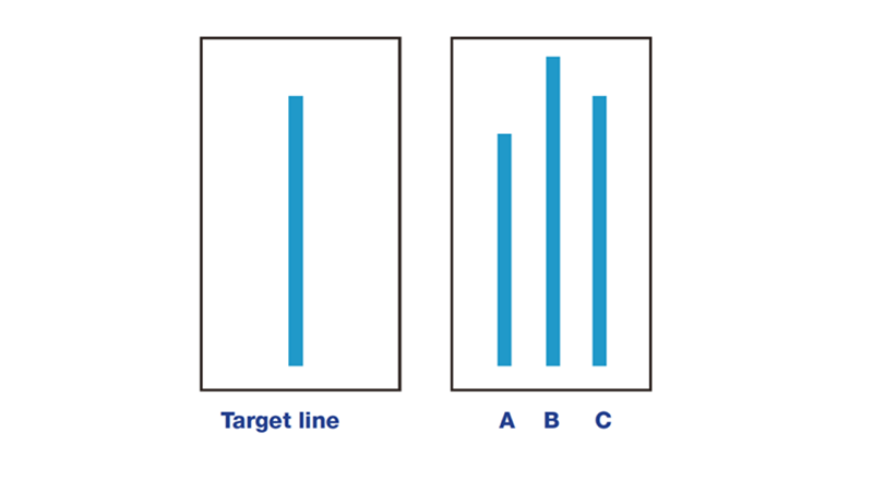 which line was most similar in length to the target line