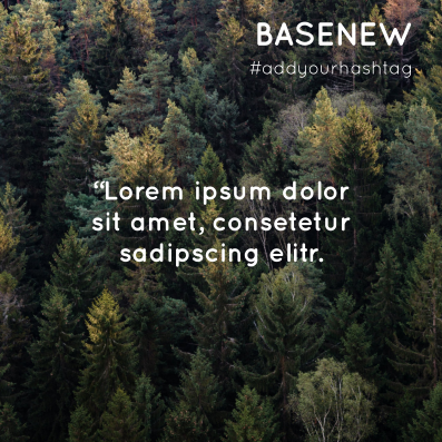Basenew Imagepost