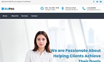 Bizpro