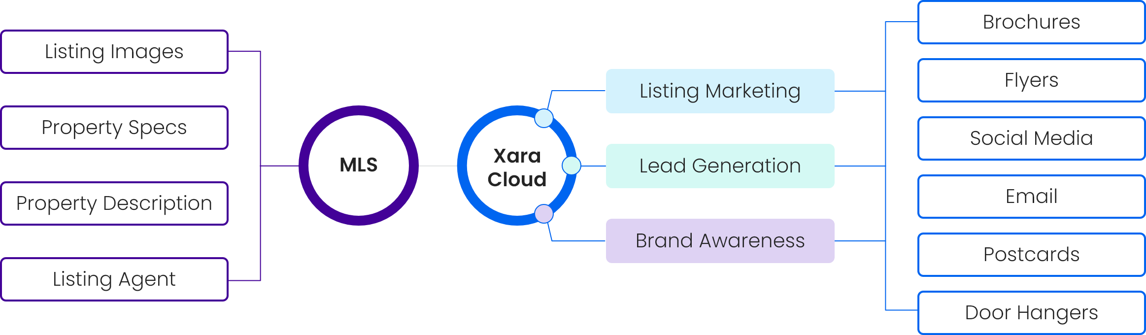 How to Use Xara Cloud with MLS